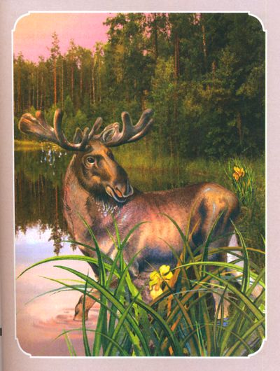 Ігнаценка Рыгор. Зацугляны шчупак