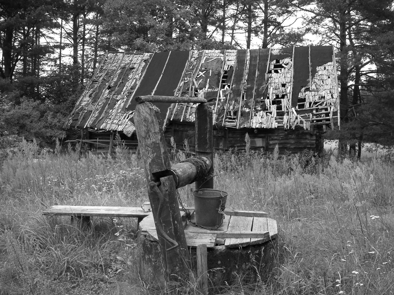 РАЗДУМЛЕНЬНЕ НАД СТРАЧАНЫМ ХАРАСТВОМ. Пакінуты хутар